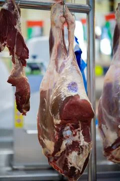 Meat 01 Stock Photos