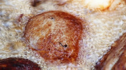 Meat 6 Video stock 887690