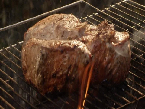Meat and fire 2 Vídeos de archivo 83859570