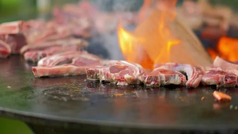 Meat and Steak Sizzling on a BBQ Fire Ring Stock Footage 279508668