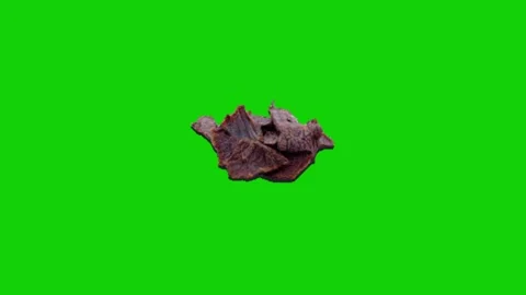 Meat animation on chroma key background 库存影片 332997306