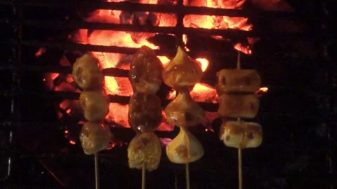 Meat ball skewer Stock Footage 345451472