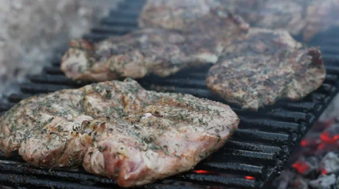 Meat on the barbecue Stock Footage 33696363