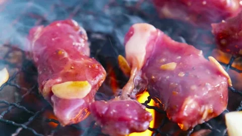 Meat barbecue Stock Footage 130412058