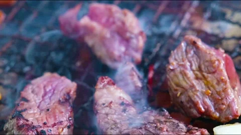 Meat barbecue Stock Footage 130412084