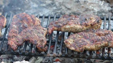 Meat on the barbecue with grillmarks Stock Footage 33696353