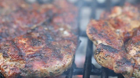 Meat on the barbecue with grillmarks Stock Footage 33696358