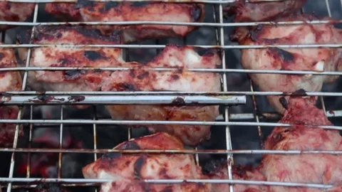 Meat in a barbecue set Stock Footage 79206503