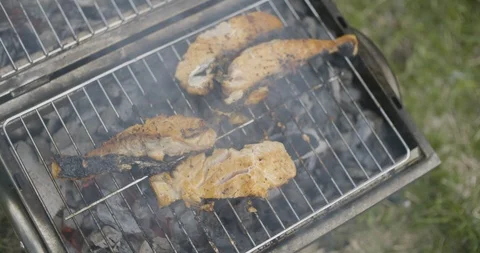 Meat being grilled on barbeque in park Stock Footage 85960373