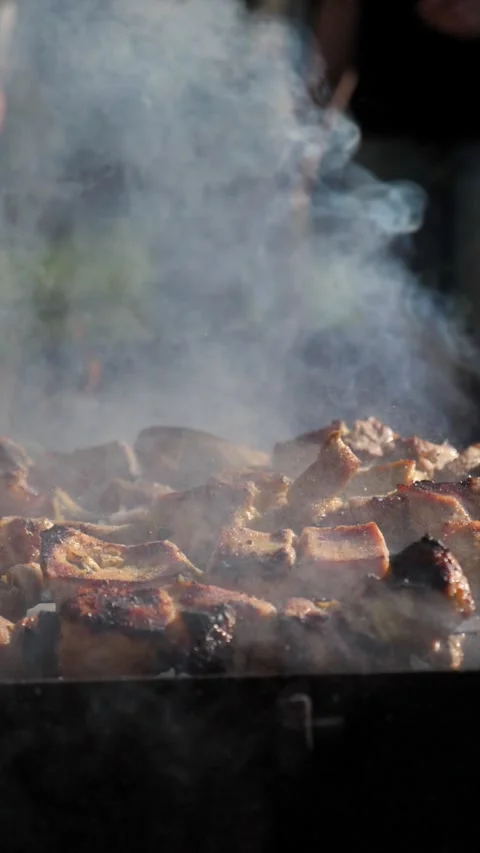Meat being seared on a hot grill with flames and coals. Grilled Meat Vídeo Stock 335643546