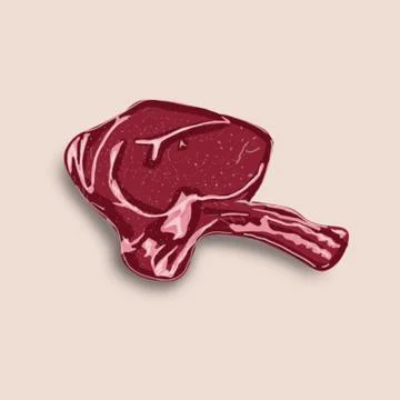 Meat on the bone drawing on a light background Stock Illustration