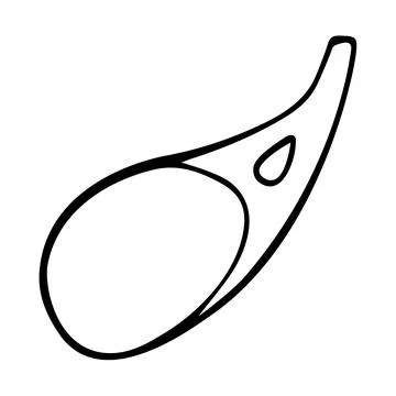 Meat on the bone hand drawn vector isolated on white background. Stock Illustration