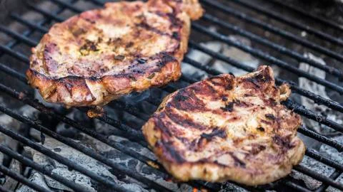 Meat on a charcoal grill Stock Photos