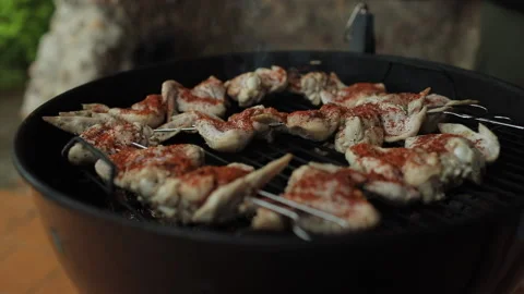 Meat chicken preparing on grill Video stock 155484204
