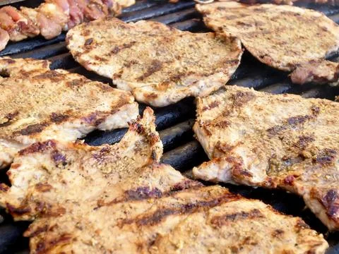 Meat chops Stock Photos