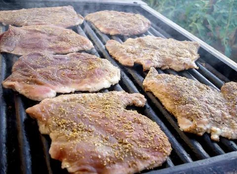 Meat chops Stock Photos