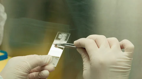 Meat close up glass Vidéo 37344720