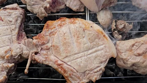 Meat on coals. Stock Footage 301001825