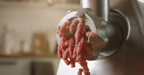 Freshly ground meat coming out of a meat grinder - Stock Image - F017/6580  - Science Photo Library