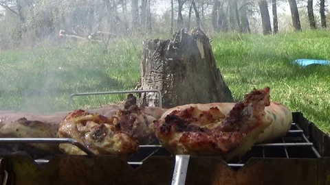 The meat is cooked on the nature Stock Footage 75476127