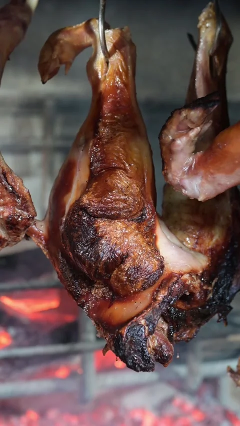 Meat cooking on the grill Stock Footage 256684495