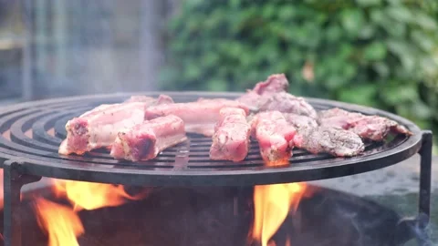 Meat cooking on open flame. Bbq meat. Video stock 219860802