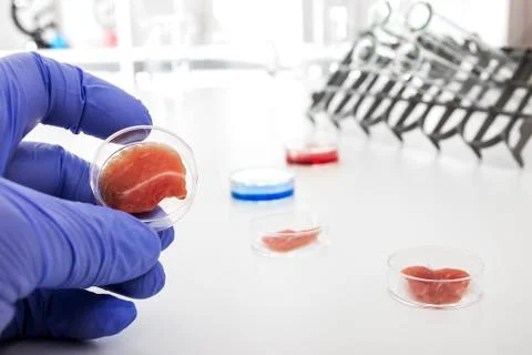 Meat cultured in laboratory conditions from stem cells.artificial meat Stock Photos