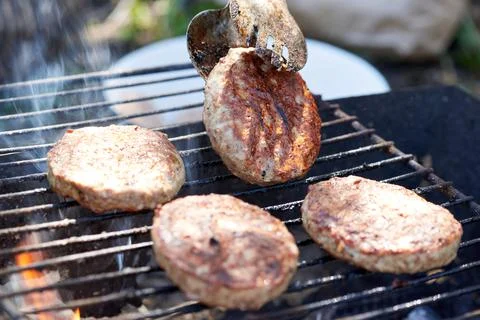 Meat cutlets fried on a wire rack Foto stock