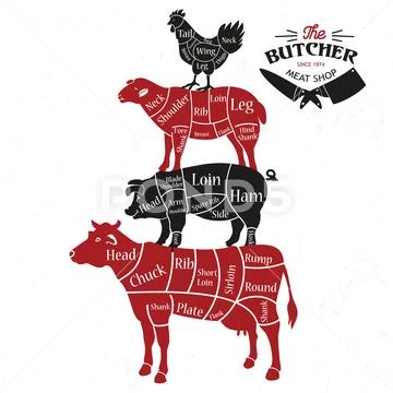 Meat cuts. Diagrams for butcher shop. Animal silhouette. illustration ...