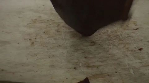 Meat Cuts Stock Footage 85709783