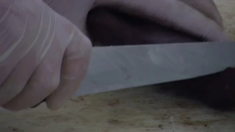 Meat Cuts Video stock 85710093