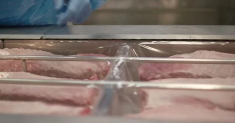 Meat cutter sorting pork cuts into steel trays at plant, Slow Motion Stock Footage 340025310