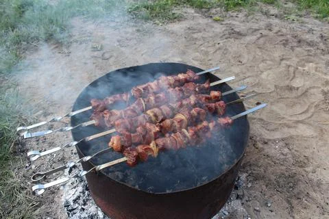 A meat dish - kebabs Stock Photos