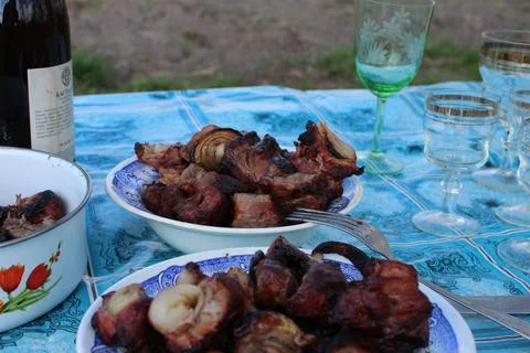 A meat dish - kebabs Stock Photos