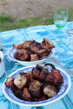 A meat dish - kebabs Stock Photos