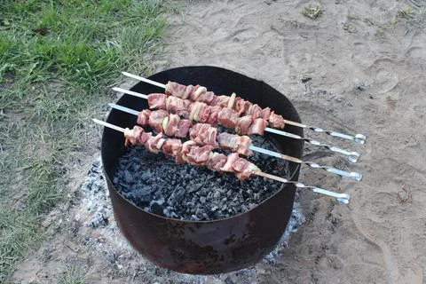 A meat dish - kebabs Stock Photos