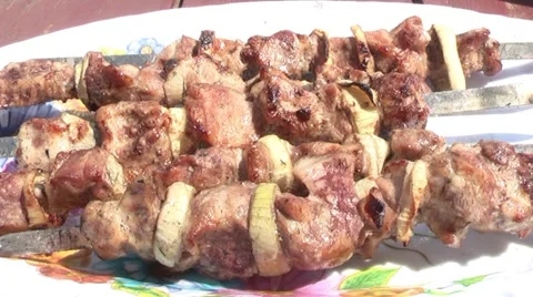 Meat dish for a picnic. Stock Footage 5087723