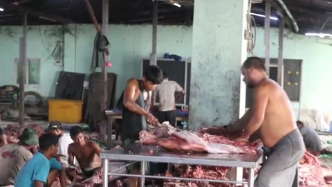 Meat distributed during Eid al-Adha celebrations in Myanmar, YANGON, MM - 08 Jun Vídeo Stock 310869908