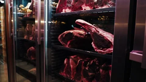 Meat in a dry refrigerator Stock Footage 232609945