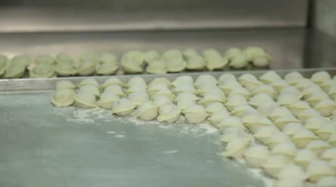 Meat Dumplings Stock Footage 65755256