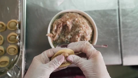 Meat dumplings Stock Footage 155203069