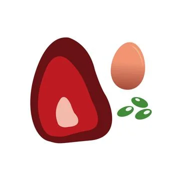 Meat, egg and bean 库存插图
