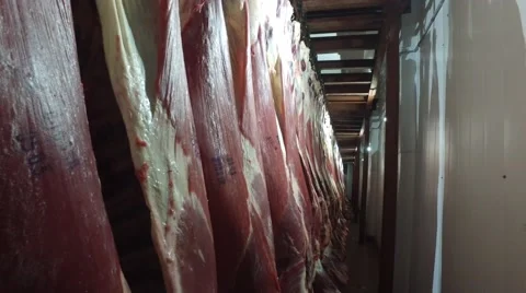 Meat factory Stock Footage 67806385