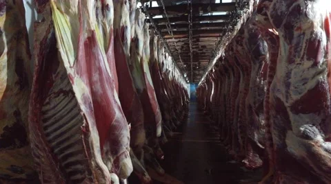 Meat factory Stock Footage 67839734