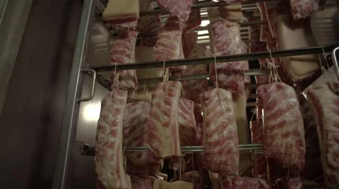 Meat factory Stock Footage 67840550