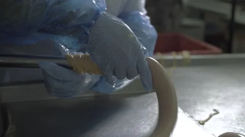 Meat factory Stock Footage 67841164