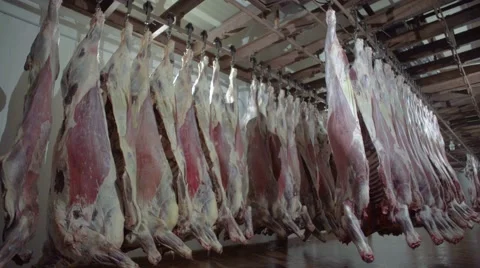 Meat factory Stock Footage 67843524