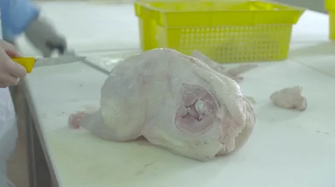 Meat factory Stock Footage 67843827