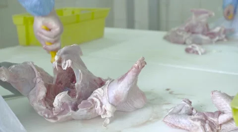 Meat factory Stock Footage 67843836