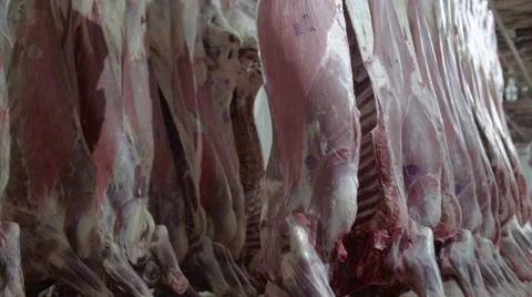 Meat factory Stock Footage 67843885